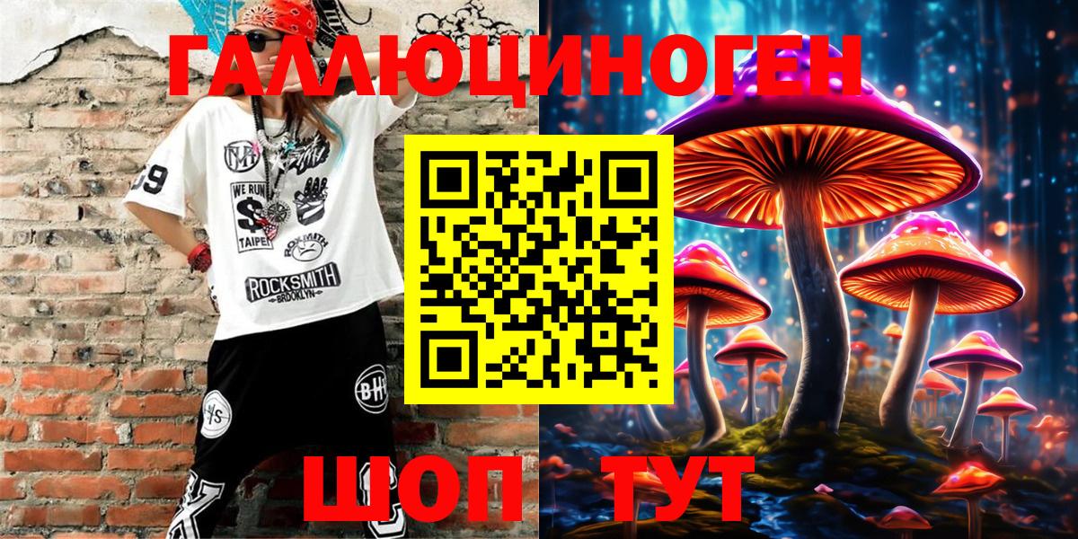 Псилоцибиновые грибы Psilocybe Тихвин